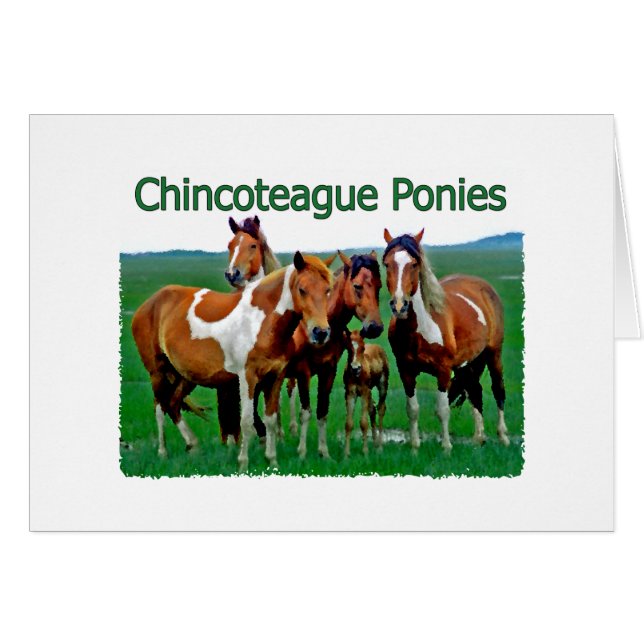 Chincoteague Ponies (familia) (Anverso (Horizontal))