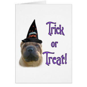 Chino Shar-Pei Trick