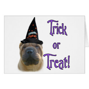 Chino Shar-Pei Trick