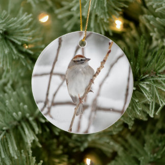 Chip Sparrow | Ornamento cerámico