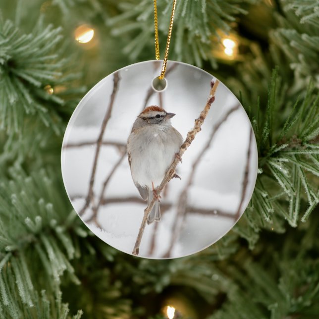 Chip Sparrow | Ornamento cerámico (Árbol)