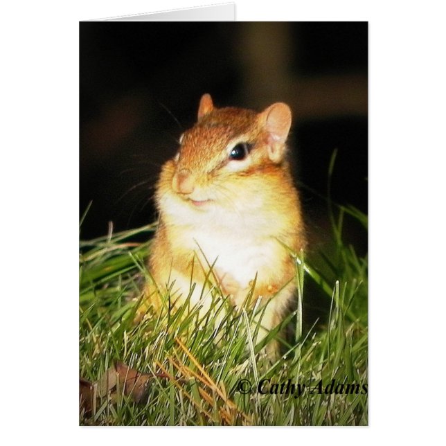 Chipmonk sonriente (Frente)