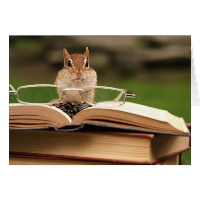 Chipmunk amante del libro (Anverso (Horizontal))
