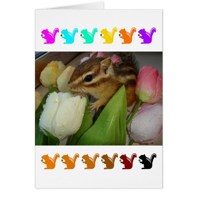 Chipmunk and flower (pohto)　type-5 (Frente)