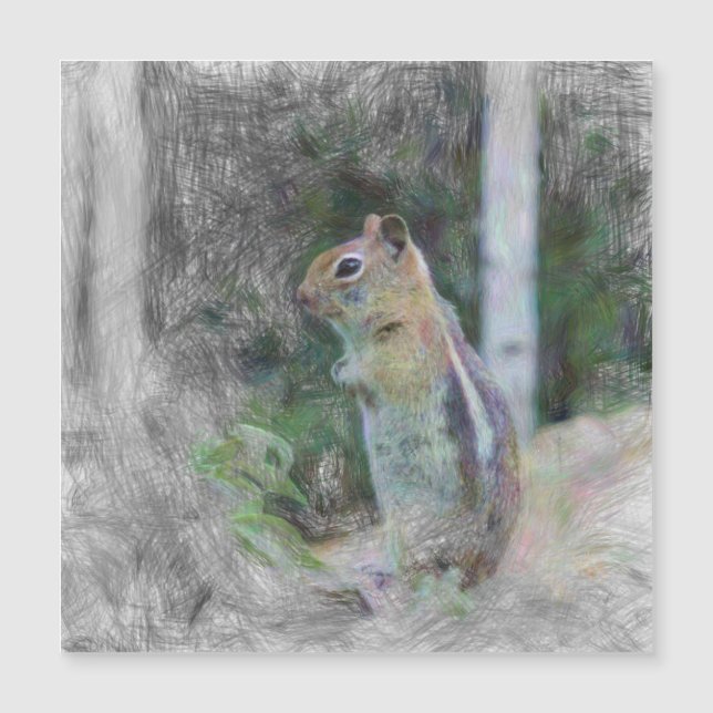 chipmunk animal artístico 1 (Anverso)