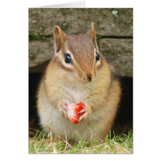 chipmunk bebé con fresa