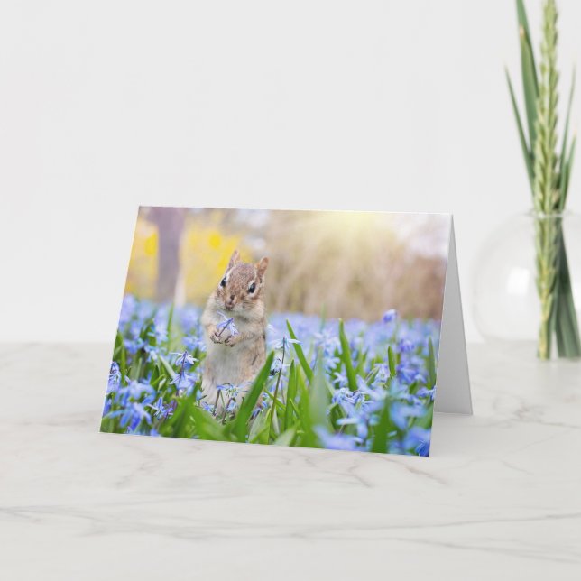 Chipmunk con tarjeta de flor (Anverso)