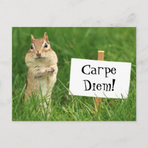 Chipmunk de Carpe Diem con la postal del Rótulo