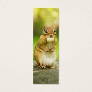 Chipmunk de grasa con tratamiento