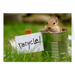 Chipmunk de reciclado de cutáneos