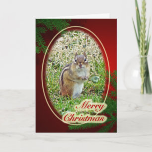 Chipmunk del este de las Felices Navidad