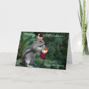 Chipmunk fresco del navidad