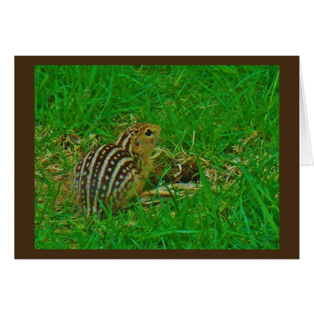 Chipmunk Hello (Anverso (Horizontal))