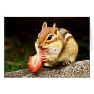 Chipmunk lindo con la tarjeta jugosa de la fresa