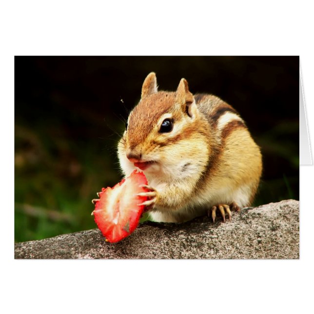 Chipmunk lindo con la tarjeta jugosa de la fresa (Anverso (Horizontal))