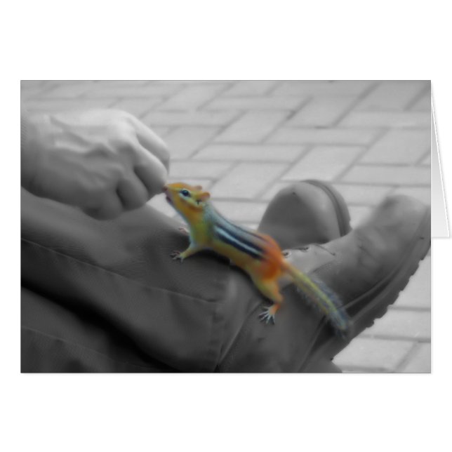 Chipmunk Lunch (Anverso (Horizontal))