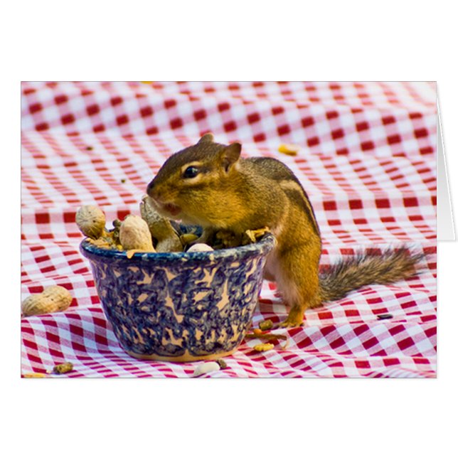 Chipmunk Picnic (Anverso (Horizontal))