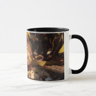 Chipmunk - taza