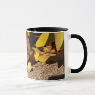 Chipmunk - taza