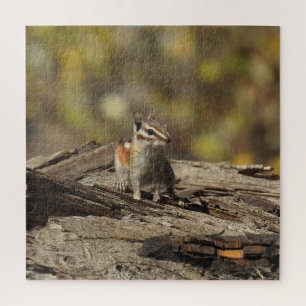Chipmunk, vida salvaje, puzzle