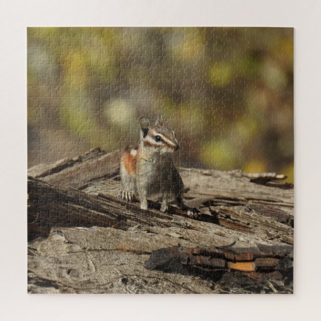 Chipmunk, vida salvaje, puzzle (Vertical)