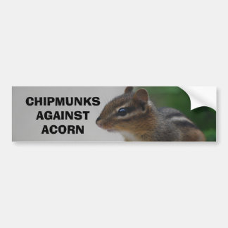 Chipmunks contra pegatina para el parachoques de