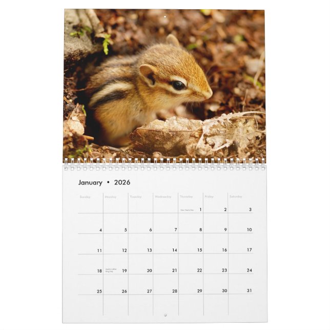 ¡Chipmunks! Un calendario de pared lindo estupendo (Jan 2026)
