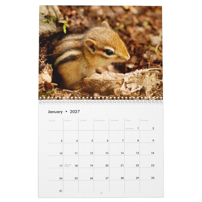 ¡Chipmunks! Un calendario de pared lindo estupendo (Jan 2027)