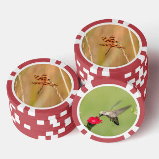 Chips de póquer con foto de libélula y colibrí