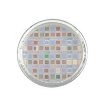 Chips de silicio en un Anillo con foto de Wafer