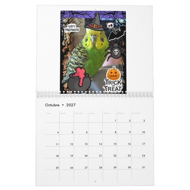 Chirpy the Crazy Parakeet Calendario 2024 (Oct 2027)
