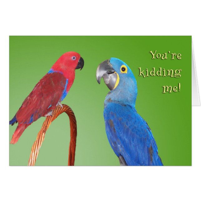 Chisme (Anverso (Horizontal))