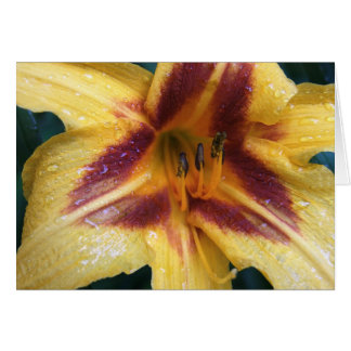 Chispa roja amarilla