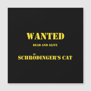 Chiste cuántico divertido: el gato de Schrödinger