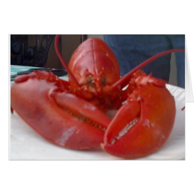 CHISTES DE LOBSTER COMICAL PERO DICE "FELIZ CUMPLE (Anverso (Horizontal))