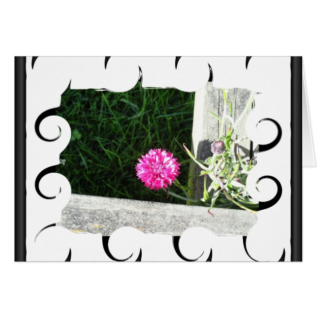 Chive (Anverso (Horizontal))