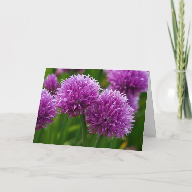 Chive Flowers Tarjeta de agradecimiento (Anverso)