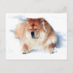CHLOE EN LA postal de la NIEVE
