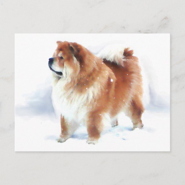 CHLOE SE QUEDA EN LA postal de la NIEVE (Anverso)