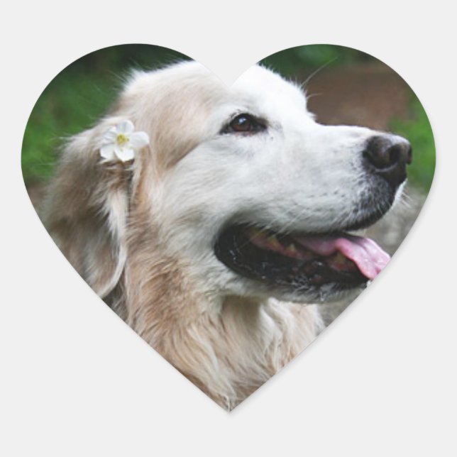 CHO CHO Hoja de pegatinas (Anverso)