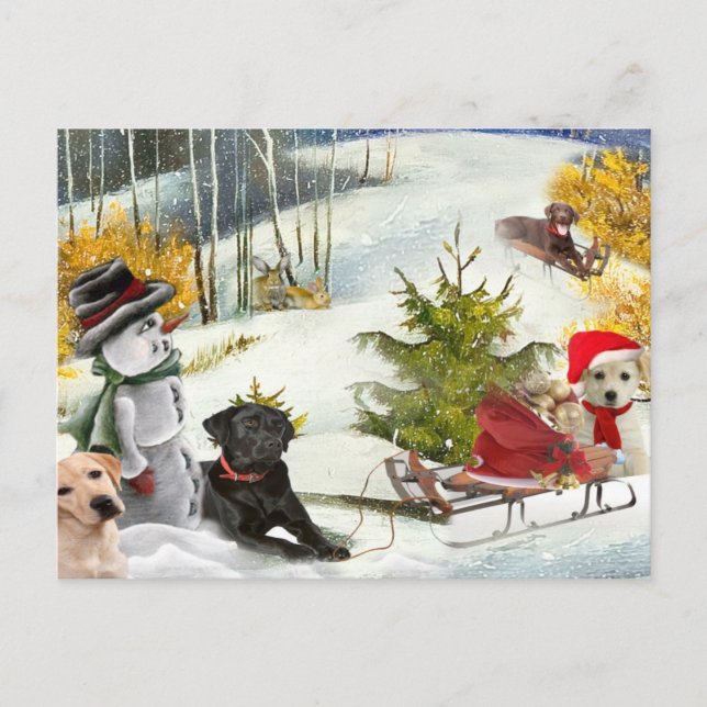 Chocolate Lab ama las tarjetas de Navidades (Anverso)