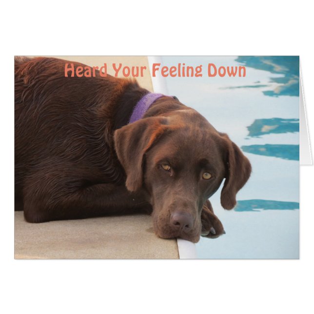 Chocolate Lab Care & Concern Card (Anverso (Horizontal))