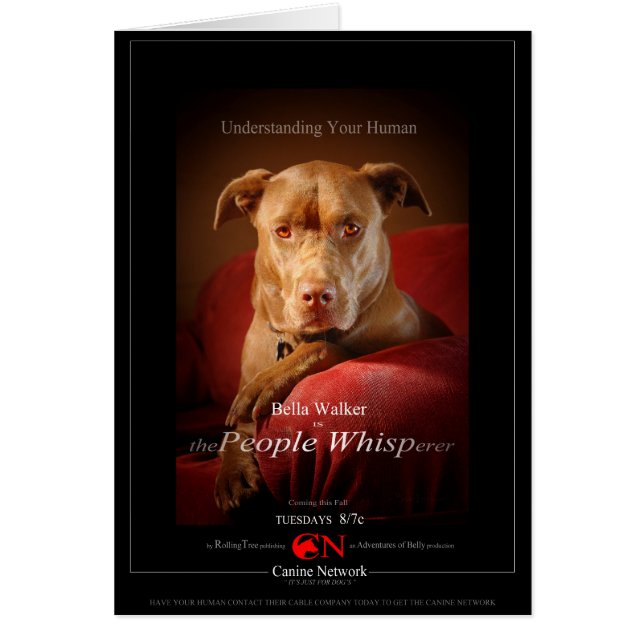Chocolate Lab Pit Mix Dog Movie Poster (Frente)