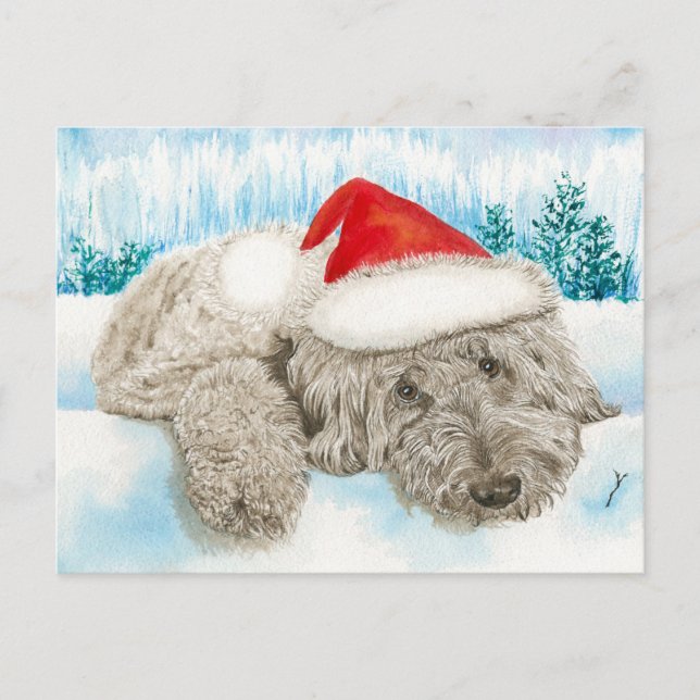 Chocolate Labradoodle del navidad (Anverso)