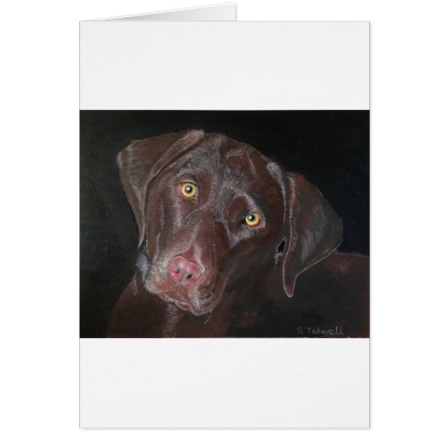 Chocolate Labrador (Frente)