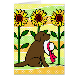 Chocolate Labrador del verano con los girasoles