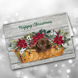 Chocolate labrador en tarjeta de Navidades de cest