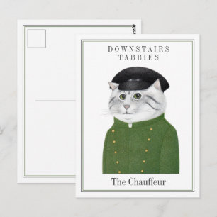 CHÓFER GATO Tarjeta postal