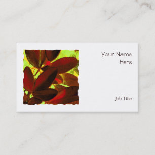 Choisya Autumn 2 tarjeta de presentación cuadrada 