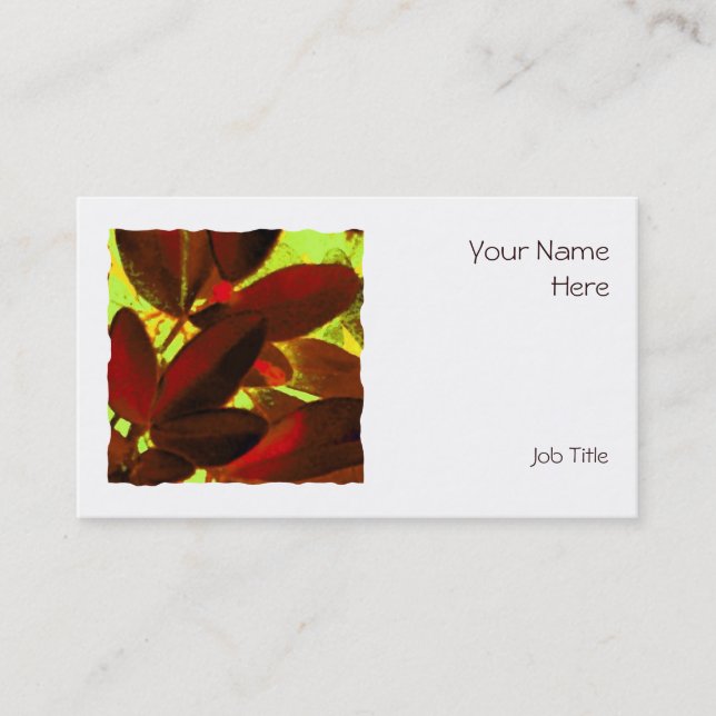 Choisya Autumn 2 tarjeta de presentación cuadrada  (Anverso)